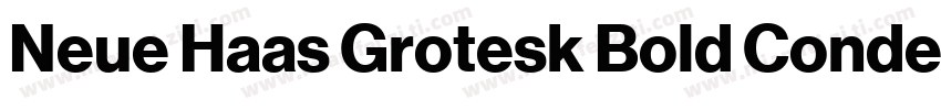 Neue Haas Grotesk Bold Condensed字体转换